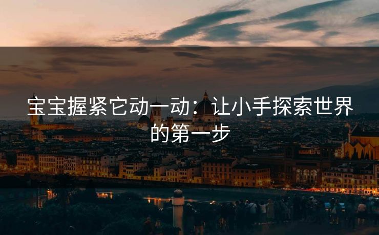 宝宝握紧它动一动：让小手探索世界的第一步